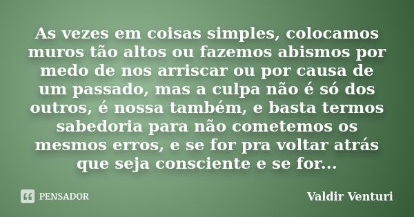 As vezes em coisas simples, colocamos muros tão altos ou fazemos abismos por medo de nos arriscar ou por causa de um passado, mas a culpa não é só dos outros, é... Frase de Valdir Venturi.