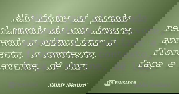 Não fique aí parado reclamando da sua árvore, aprenda a vizualizar a floresta, o contexto, faça e ensine, dê luz.... Frase de Valdir Venturi.