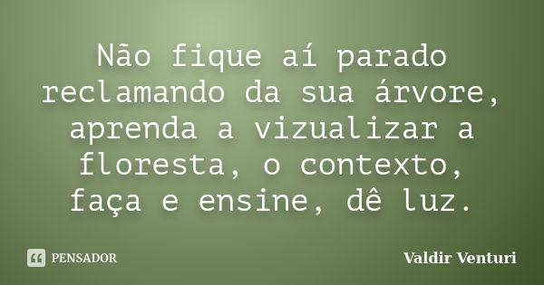 Não fique aí parado reclamando da sua árvore, aprenda a vizualizar a floresta, o contexto, faça e ensine, dê luz.... Frase de Valdir Venturi.