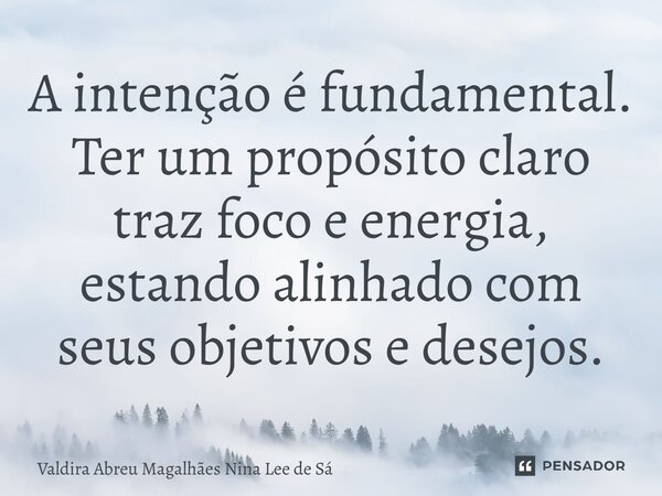 ⁠A intenção é fundamental. Ter um propósito claro traz foco e energia, estando alinhado com seus objetivos e desejos.... Frase de Valdira Abreu Magalhães Nina Lee de Sá.