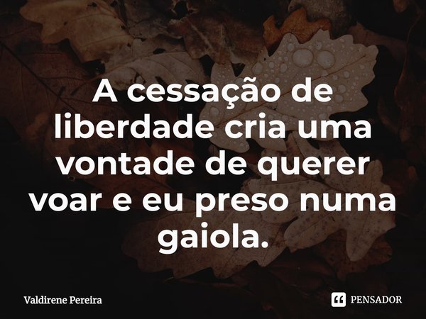 ⁠A cessação de liberdade cria uma vontade de querer voar e eu preso numa gaiola.... Frase de Valdirene Pereira.