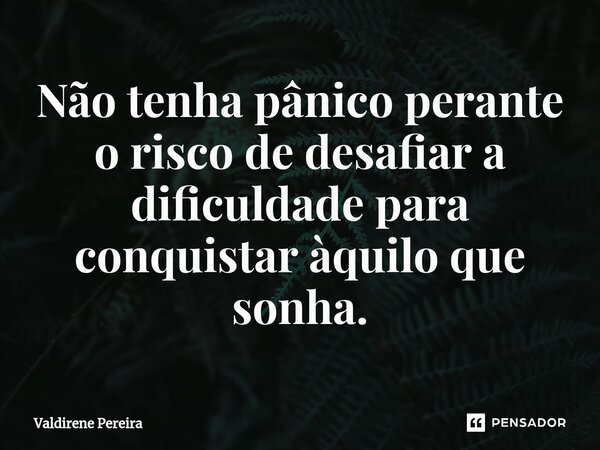 ⁠Não tenha pânico perante o risco de desafiar a dificuldade para conquistar àquilo que sonha.... Frase de Valdirene Pereira.