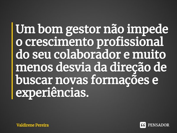 ⁠Um bom gestor não impede o crescimento profissional do seu colaborador e muito menos desvia da direção de buscar novas formações e experiências.... Frase de Valdirene Pereira.