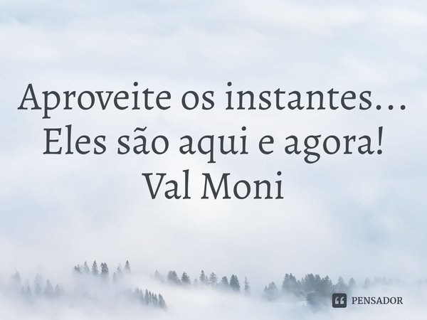 ⁠Aproveite os instantes...
Eles são aqui e agora!... Frase de Val Moni.