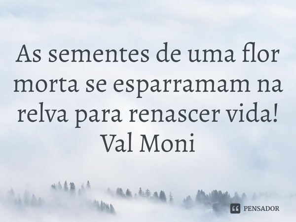 ⁠As sementes de uma flor morta se esparramam na relva para renascer vida!... Frase de Val Moni.