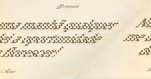 Numa manhã qualquer me dei a oportunidade de florescer!... Frase de Val Moni.