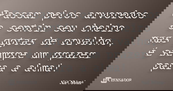 Passar pelos arvoredos e sentir seu cheiro nas gotas de orvalho, é sempre um prazer para a alma!... Frase de Val Moni.