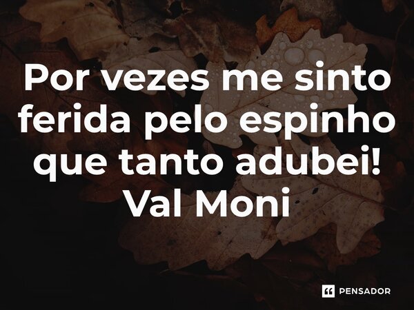 ⁠Por vezes me sinto ferida pelo espinho que tanto adubei!... Frase de Val Moni.