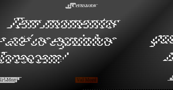 Tem momentos que até os espinhos florescem!... Frase de Val Moni.