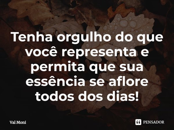 ⁠Tenha orgulho do que você representa e permita que sua essência se aflore todos dos dias!... Frase de Val Moni.