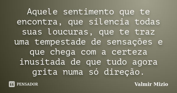 Aquele sentimento que te encontra, que silencia todas suas loucuras, que te traz uma tempestade de sensações e que chega com a certeza inusitada de que tudo ago... Frase de Valmir Mizio.