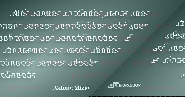Nós somos criados para nos tornar seres perfeitos até que descobrimos os sentimentos. E aí nos tornamos os mais bobos e irracionais seres deste planeta.... Frase de Valmir Mizio.