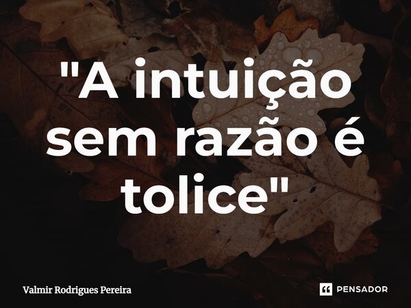 ⁠"A intuição sem razão é tolice"... Frase de Valmir Rodrigues Pereira.