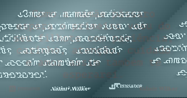 Como a mamãe pássaro espera o primeiro voou do seu filhote com paciência, carinho, atenção, cuidado e amor assim também te esperarei.... Frase de Valmir Wilker.