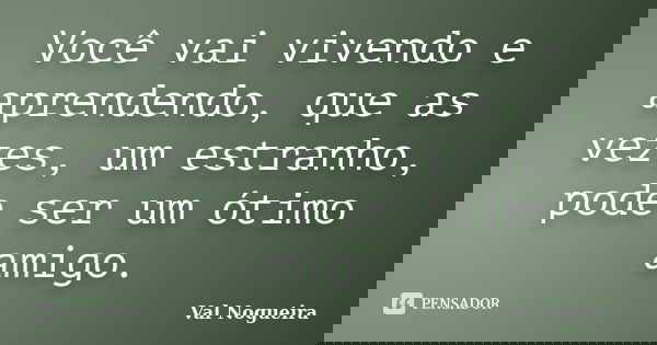 Você vai vivendo e aprendendo, que as vezes, um estranho, pode ser um ótimo amigo.... Frase de Val Nogueira.