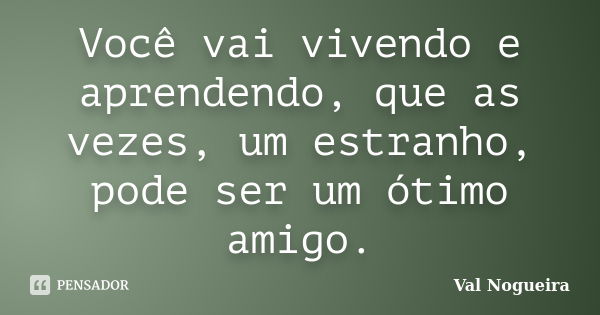 Você vai vivendo e aprendendo, que as vezes, um estranho, pode ser um ótimo amigo.... Frase de Val Nogueira.