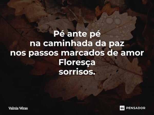 ⁠Pé ante pé na caminhada da paz nos passos marcados de amor Floresça sorrisos.... Frase de Valnia Véras.