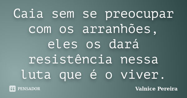 Caia sem se preocupar com os arranhões, eles os dará resistência nessa luta que é o viver.... Frase de Valnice Pereira.