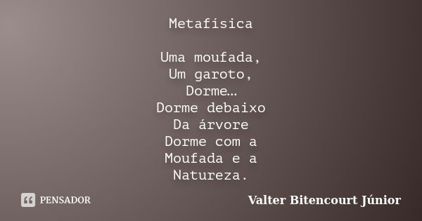 Metafísica Uma moufada, Um garoto, Dorme… Dorme debaixo Da árvore Dorme com a Moufada e a Natureza.... Frase de Valter Bitencourt Júnior.