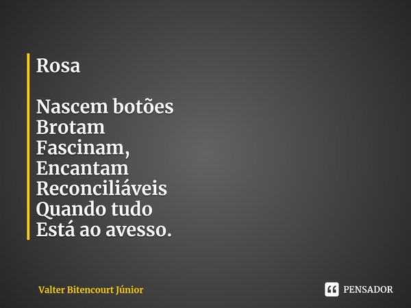 ⁠Rosa Nascem botões Brotam Fascinam, Encantam Reconciliáveis Quando tudo Está ao avesso.... Frase de Valter Bitencourt Júnior.