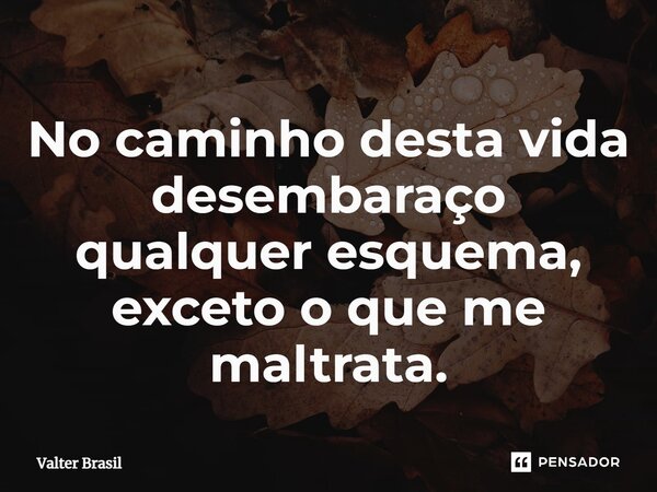 ⁠No caminho desta vida desembaraço qualquer esquema, exceto o que me maltrata.... Frase de Valter Brasil.