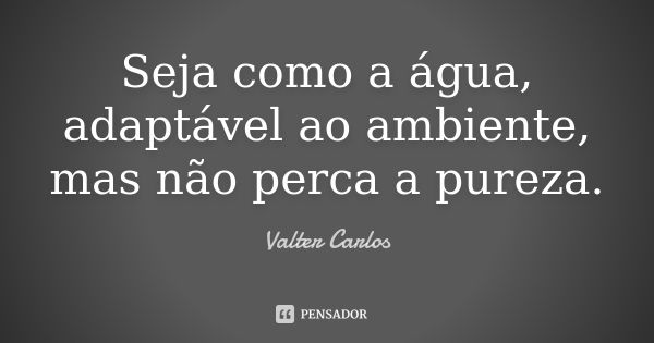 Seja como a água, adaptável ao ambiente, mas não perca a pureza.... Frase de Valter Carlos.