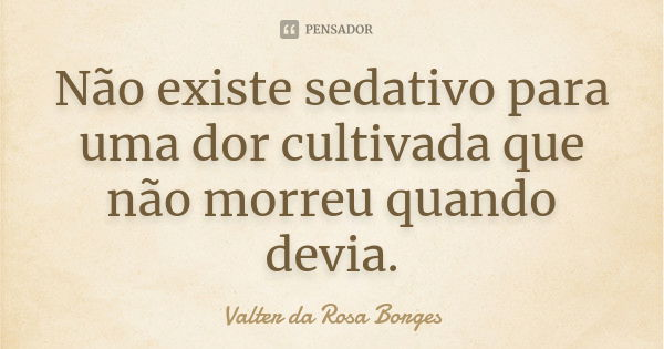 Não existe sedativo para uma dor cultivada que não morreu quando devia.... Frase de Valter da Rosa Borges.