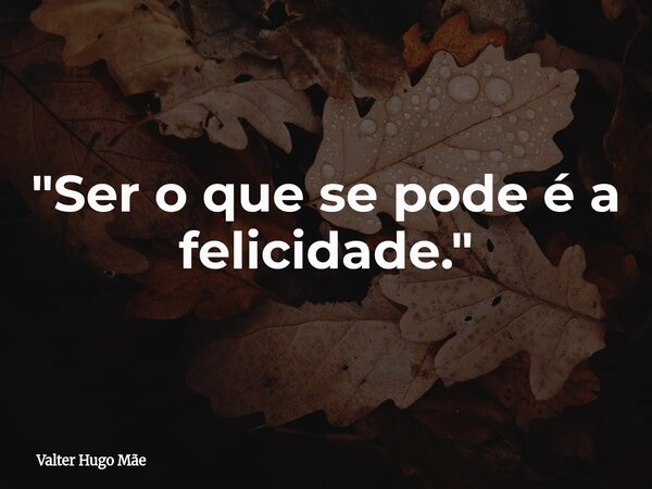 "Ser o que se pode é a felicidade."... Frase de Valter Hugo Mãe.
