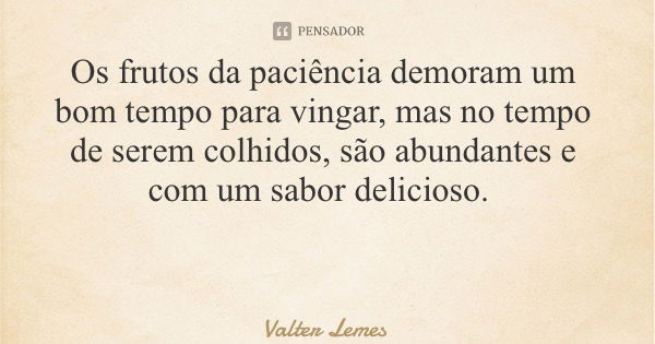 Os frutos da paciência demoram um bom tempo para vingar, mas no tempo de serem colhidos, são abundantes e com um sabor delicioso.... Frase de Valter Lemes.