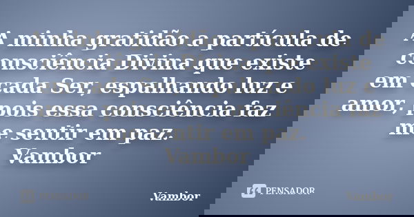 A minha gratidão a partícula de consciência Divina que existe em cada Ser, espalhando luz e amor, pois essa consciência faz me sentir em paz. Vambor... Frase de Vambor.