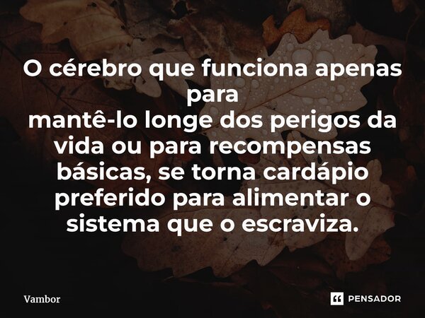 ⁠O cérebro que funciona apenas para mantê-lo longe dos perigos da vida ou para recompensas básicas, se torna cardápio preferido para alimentar o sistema que o e... Frase de Vambor.