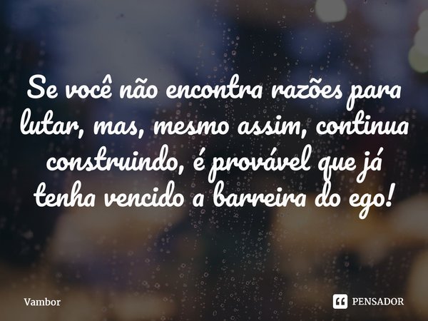 ⁠Se você não encontra razões para lutar, mas, mesmo assim, continua construindo, é provável que já tenha vencido a barreira do ego!... Frase de Vambor.