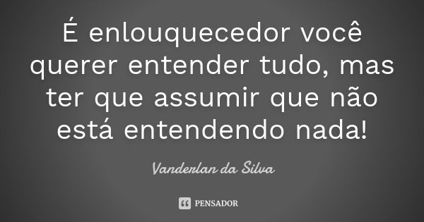 É enlouquecedor você querer entender tudo, mas ter que assumir que não está entendendo nada!... Frase de Vanderlan da Silva.