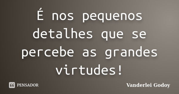 É nos pequenos detalhes que se percebe as grandes virtudes!... Frase de Vanderlei Godoy.