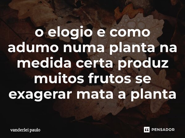 o elogio e como adumo numa planta na medida certa produz muitos frutos se exagerar mata a planta⁠... Frase de vanderlei paulo.