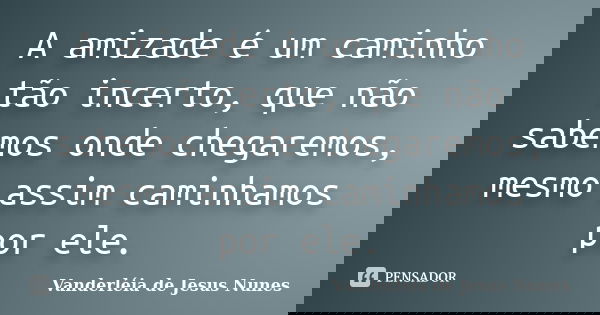 A amizade é um caminho tão incerto, que não sabemos onde chegaremos, mesmo assim caminhamos por ele.... Frase de Vanderléia de Jesus Nunes.