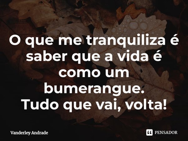 ⁠O que me tranquiliza é saber que a vida é como um bumerangue. Tudo que vai, volta!... Frase de Vanderley Andrade.