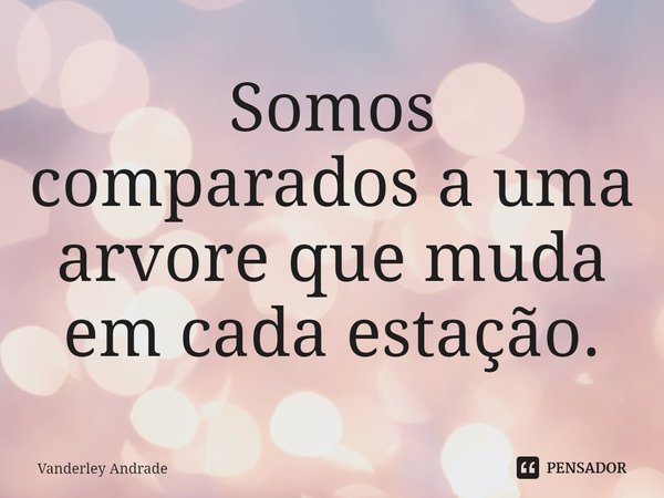 ⁠Somos comparados a uma arvore que muda em cada estação.... Frase de Vanderley Andrade.