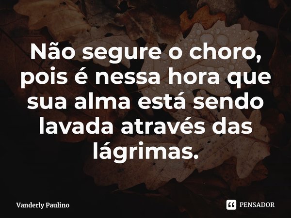 ⁠Não segure o choro, pois é nessa hora que sua alma está sendo lavada através das lágrimas.... Frase de Vanderly Paulino.