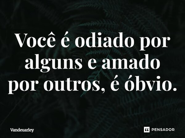 Você é odiado por alguns e amado por outros, é óbvio.... Frase de Vandeuarley.