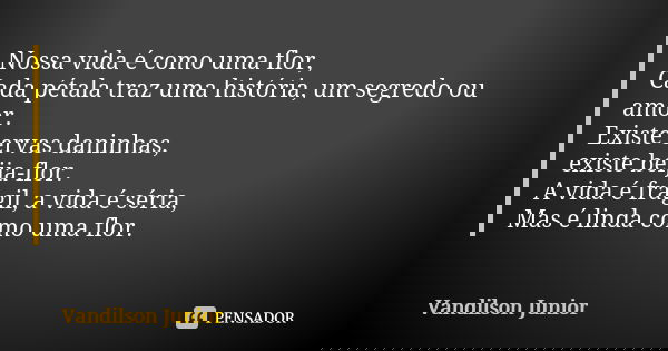 Nossa vida é como uma flor, Cada pétala traz uma história, um segredo ou amor. Existe ervas daninhas, existe beija-flor. A vida é frágil, a vida é séria, Mas é ... Frase de Vandilson Junior.