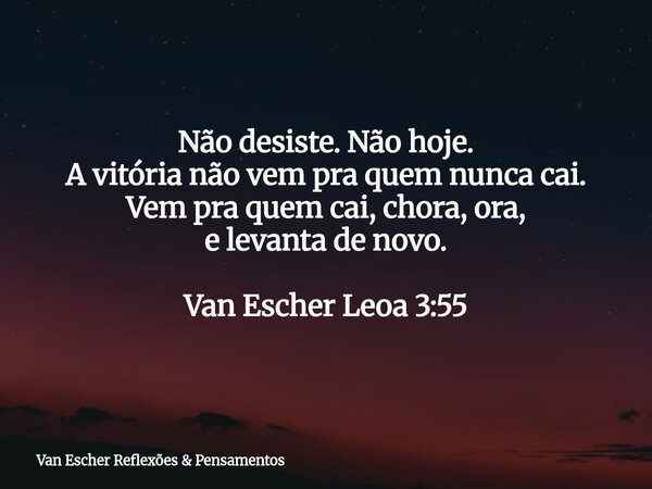 Não desiste.Não hoje. A vitória não vem pra quem nunca cai. Vem pra quem cai, chora, ora, e levanta de novo. Van Escher Leoa 3:55... Frase de Van Escher Reflexões  Pensamentos.