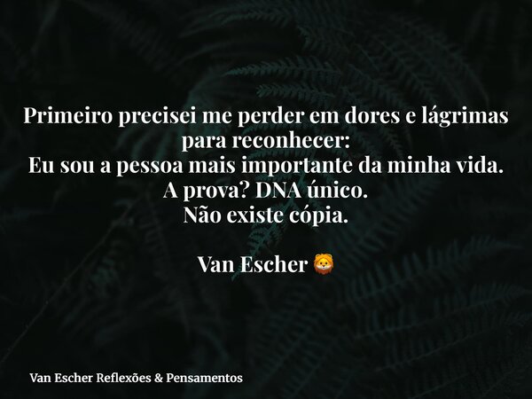 Primeiro precisei me perder em dores e lágrimas para reconhecer: Eu sou a pessoa mais importante da minha vida. A prova? DNA único. Não existe cópia. Van Escher... Frase de Van Escher Reflexões  Pensamentos.