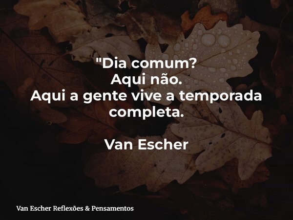 "Dia comum? Aqui não. Aqui a gente vive a temporada completa. Van Escher... Frase de Van Escher Reflexões  Pensamentos.