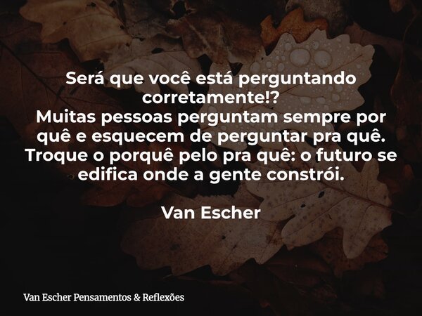 Será que você está perguntando corretamente!? Muitas pessoas perguntam sempre por quê e esquecem de perguntar pra quê. Troque o porquê pelo pra quê: o futuro se... Frase de Van Escher Pensamentos  Reflexões.