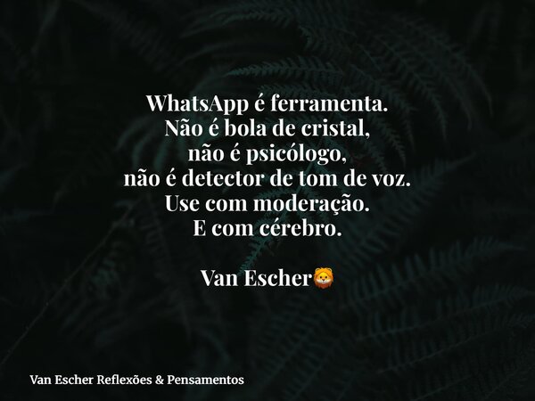 WhatsApp é ferramenta. Não é bola de cristal, não é psicólogo, não é detector de tom de voz. Use com moderação. E com cérebro. Van Escher🦁... Frase de Van Escher Reflexões  Pensamentos.