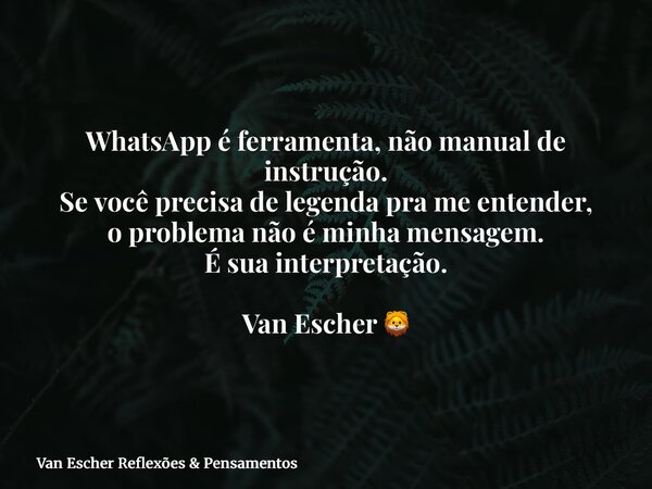 WhatsApp é ferramenta, não manual de instrução. Se você precisa de legenda pra me entender, o problema não é minha mensagem. É sua interpretação. Van Escher 🦁... Frase de Van Escher Reflexões  Pensamentos.