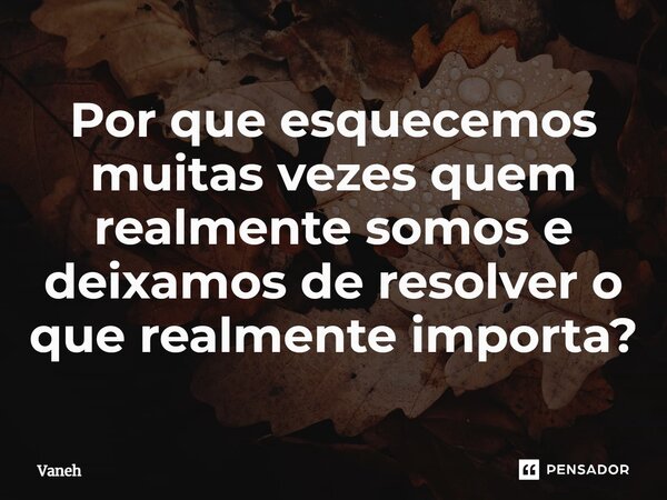 Por que esquecemos muitas vezes quem realmente somos e deixamos de resolver o que realmente importa?... Frase de Vaneh.