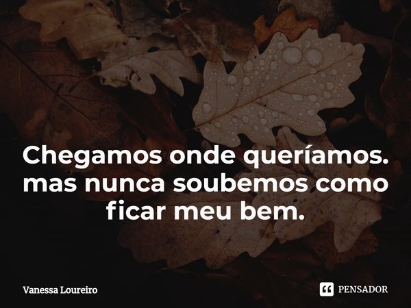 ⁠ Chegamos onde queríamos.
mas nunca soubemos como ficar meu bem.... Frase de Vanessa Loureiro.