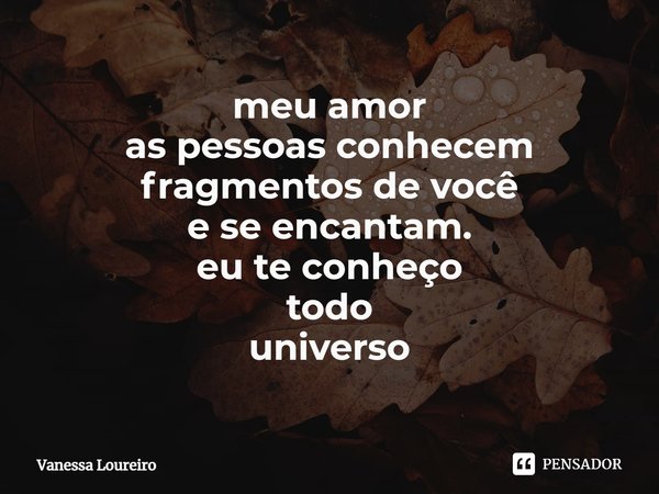 ⁠meu amor
as pessoas conhecem fragmentos de você
e se encantam.
eu te conheço
todo
universo... Frase de Vanessa Loureiro.